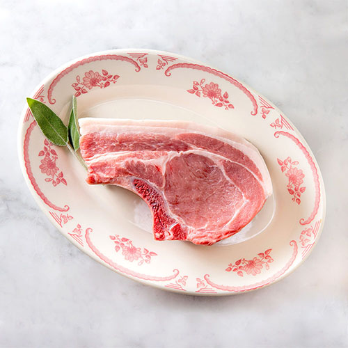 photography for your website