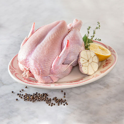 whole chicken on a plate